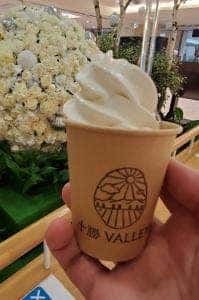 十勝VALLEYs 新千歳空港店