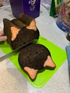 ねこねこ食パン イオンモールむさし村山店