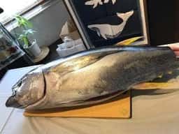 創作まぐろ料理 鮪ソムリエ 楽彩