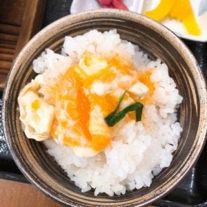 土佐くろしお村 村営とさっ子広場