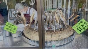 矢祭山観光センター