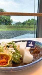 にほのうみ 滋賀県立琵琶湖博物館内