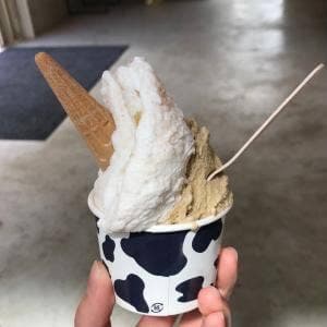icecreamfactory PiPi