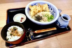 とり天ぶっかけと鴨釜うどん 麺匠 やしま