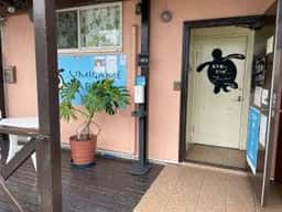 大浜うみがめcafe