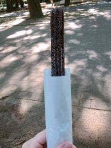 光が丘公園 パークス