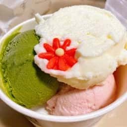 Tsubomi