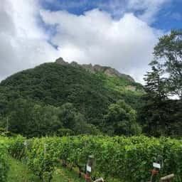 八剣山キッチン&マルシェ