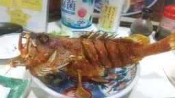 丸丈
