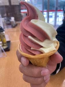 フタバ 上河内SA 下り線