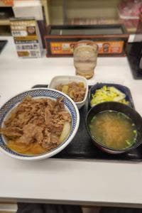 吉野家 231号線篠路店
