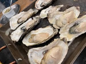 浜松かきセンター