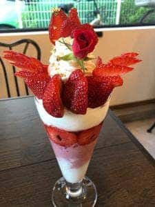 shall we parfait
