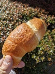 藤ノ木