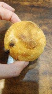 橋本屋