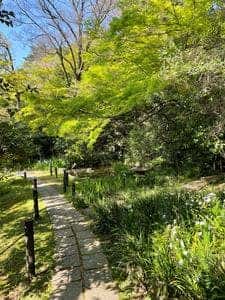 SHARE LOUNGE 二子玉川 蔦屋家電
