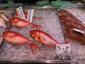 魚耕 春日部店