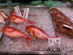 魚耕 春日部店