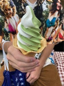 茶の君野園