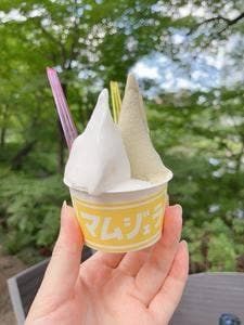 MOM&POPS ジェラート 六本木ヒルズ