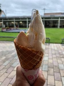 アイスクリーム工房 はがジェラート 道の駅はが