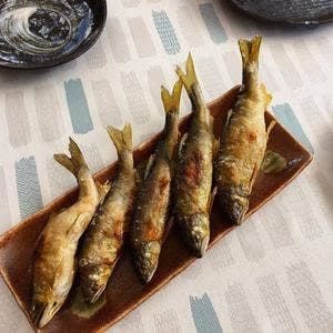 こぶしの里