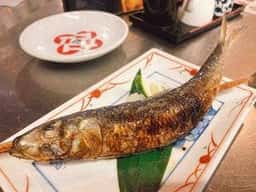 ニューロバタ カタナ食堂