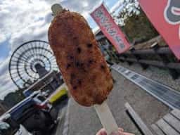 道の駅 おばあちゃん市・山岡