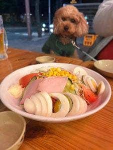 海鮮屋台おくまん 室見店