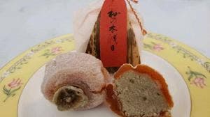 満天星 一休 苗木店