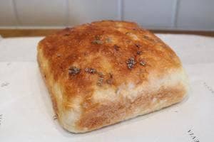 PANEVIA
