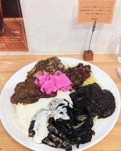 MOTO CURRY