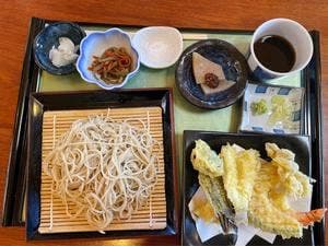 樹の里