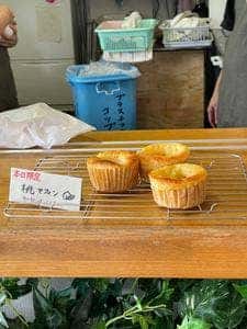 うつくしテラス