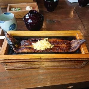山椒の木