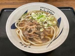 きっちょううどん今池店