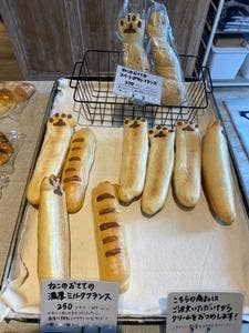 CAT & BAKES 9456