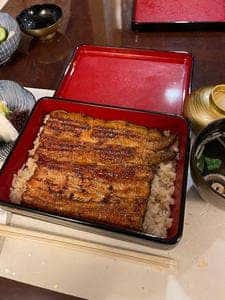 東京飯田橋 うなぎ 川勢