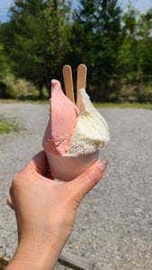 麓ジェラート
