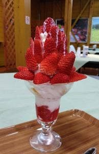 朝霧高原フルーツカフェ
