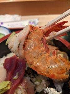 玉乃鮨