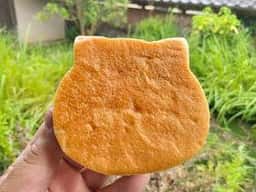 キッチンkuu
