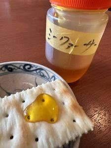 ファーストカフェ