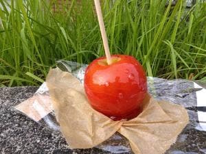 ポムリミナルオーサカ 心斎橋パルコ店