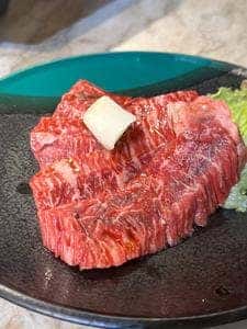 秘苑