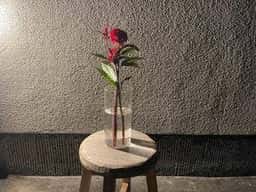 &cafe