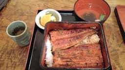うなぎ御食事処 九寅