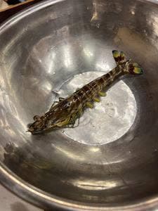 海鮮茶屋・貝族料理 みのしょう