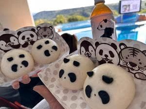 アドベンチャーワールドマリンブルー