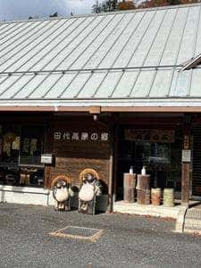 玄庵のぶ